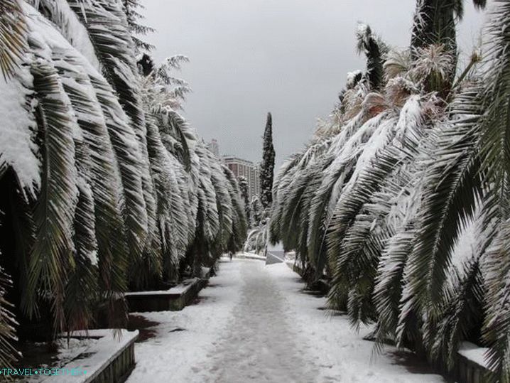 Winter Sochi