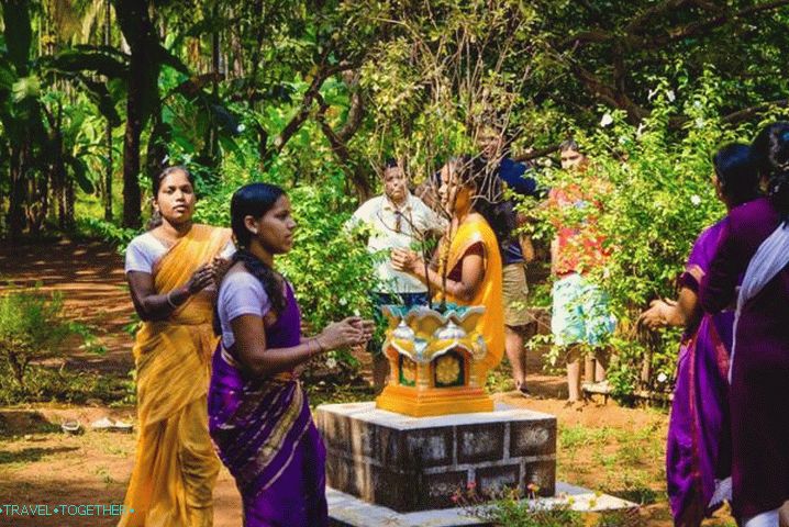 Goa, Visit Spice Plantation