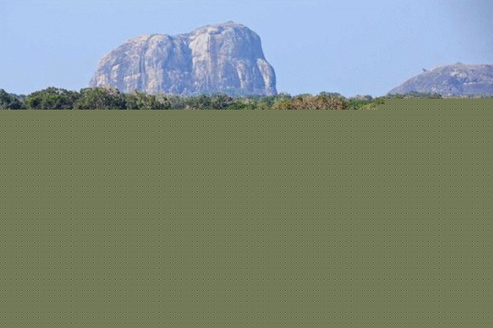 Sri Lanka, Immerse yourself in the wild at Cumana National Park