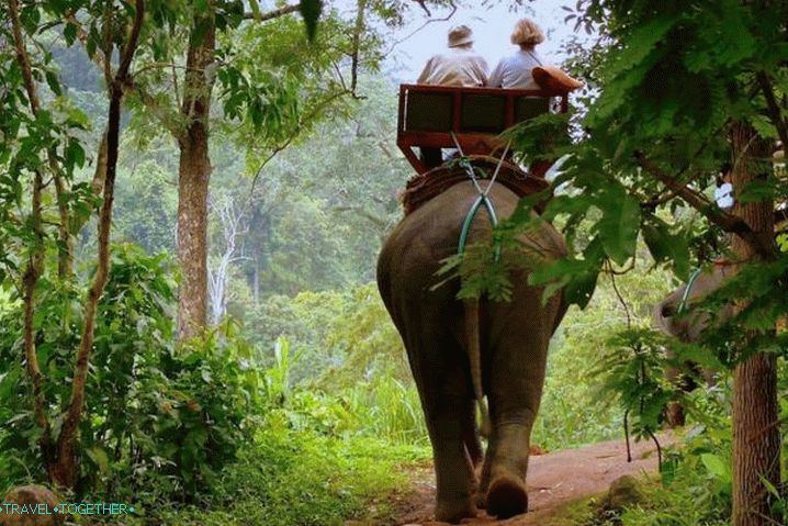 Goa, trip to the jungle