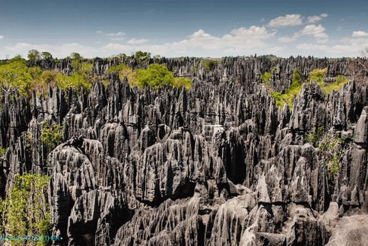 Madagascar, Tsinzhi-du-Bemaraha - the realm of stone rocks