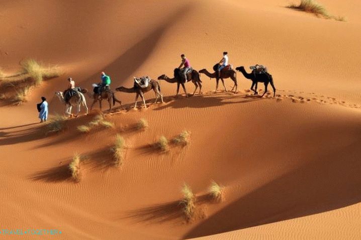 Tunisia, take a ride in jeeps on the sands of the Sahara