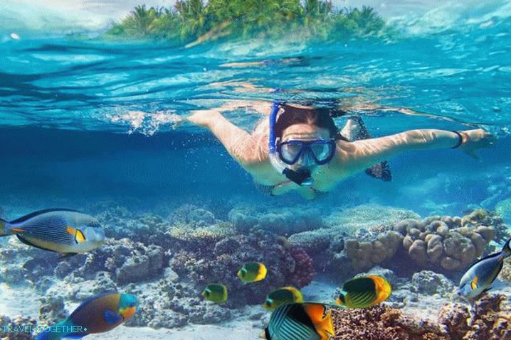 Thailand, diving