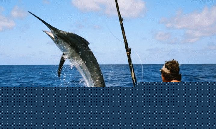 Dominican fishing sword fish