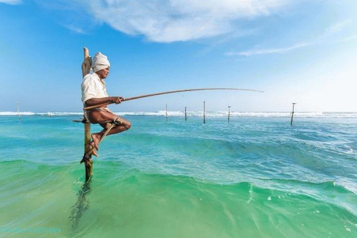 Sri Lanka, Local slaves fish sitting on poles