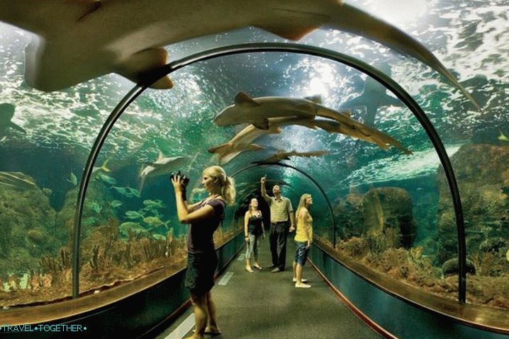 Canary Islands, Loro Park