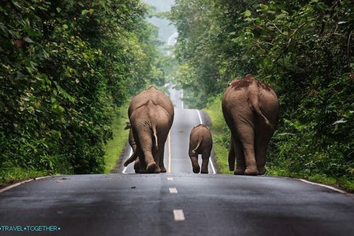 Thailand, Khao Yai All-Thematic Park