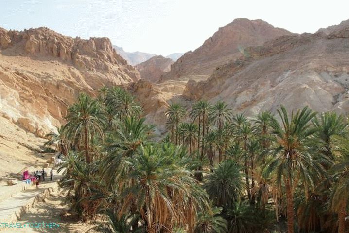 Tunisia, Oasis in the desert