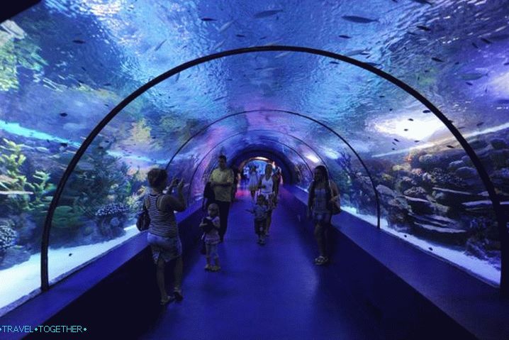 Turkey, Oceanarium in Antalya