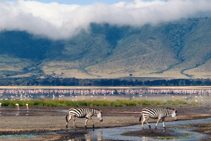 Tanzania Ngorongoro