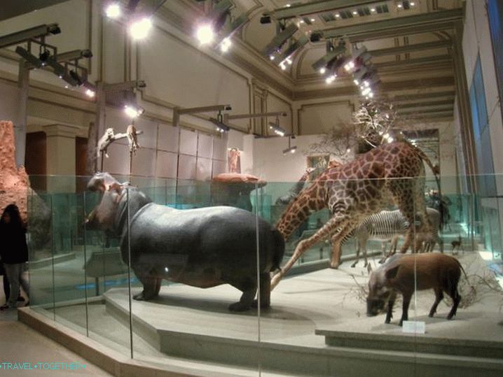 Maldives National Museum2