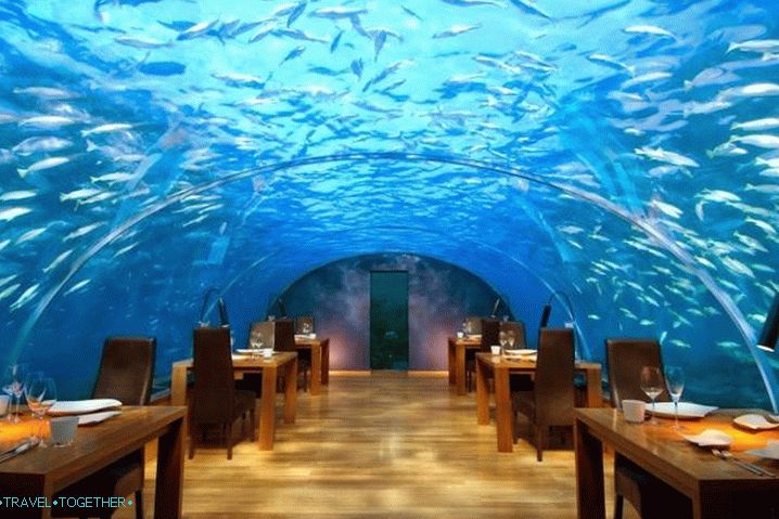 Maldives, Underwater Restaurant Ithaa