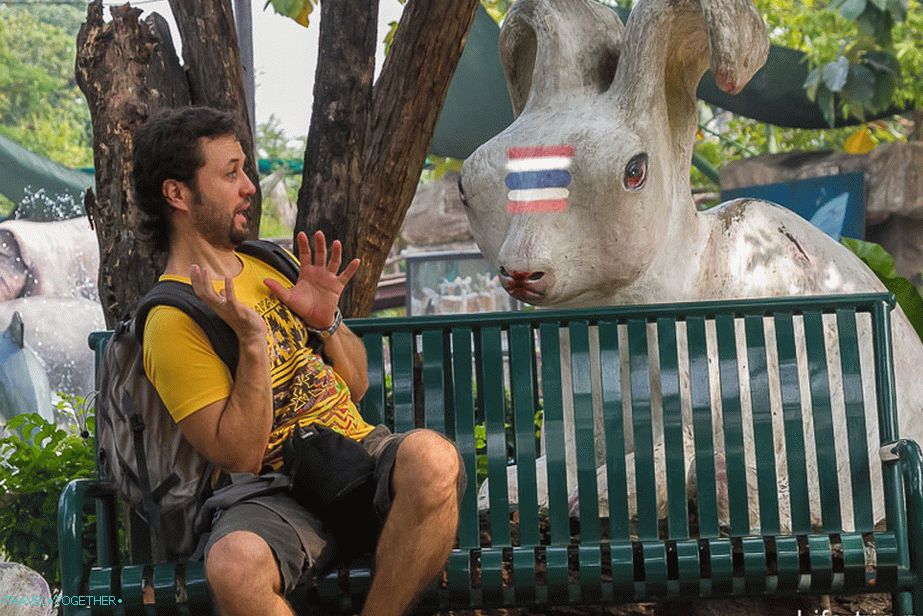 Where to run from the new rules?