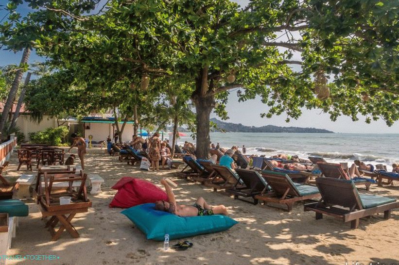 And a little further on the sand there are sun beds