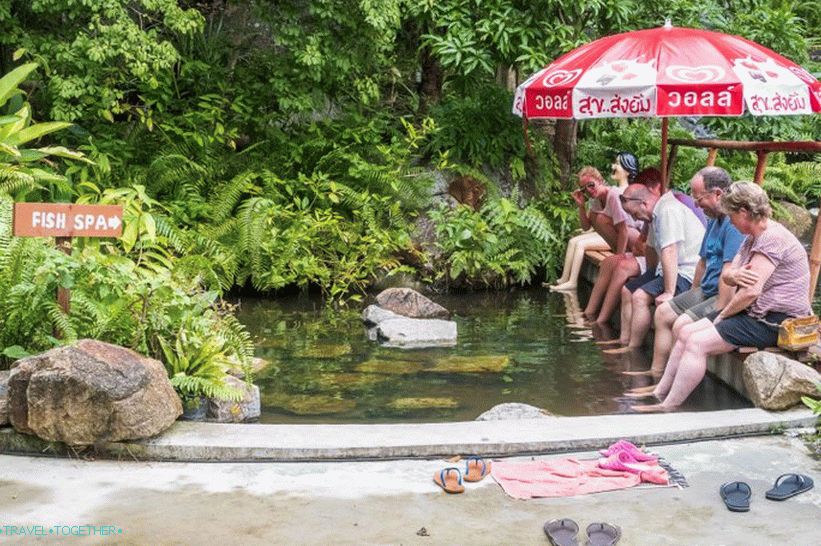 The cost of visiting the fish spa is included in the price of admission - 50 baht