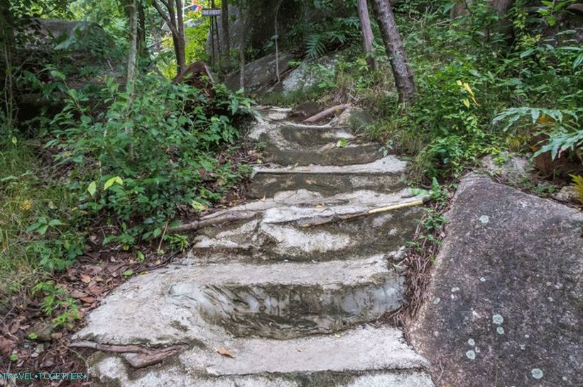 Old walking trail reinforced with boards and cement