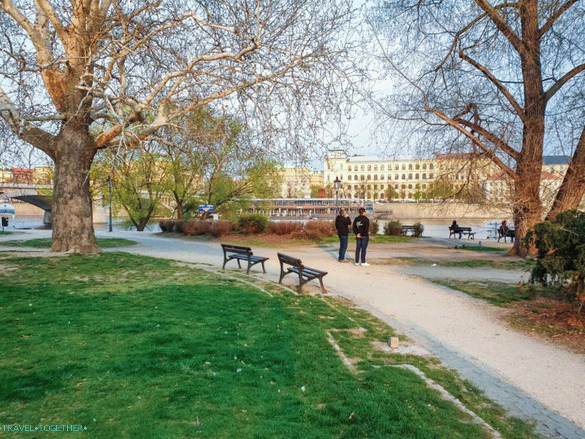 Swans in Prague and where to feed them