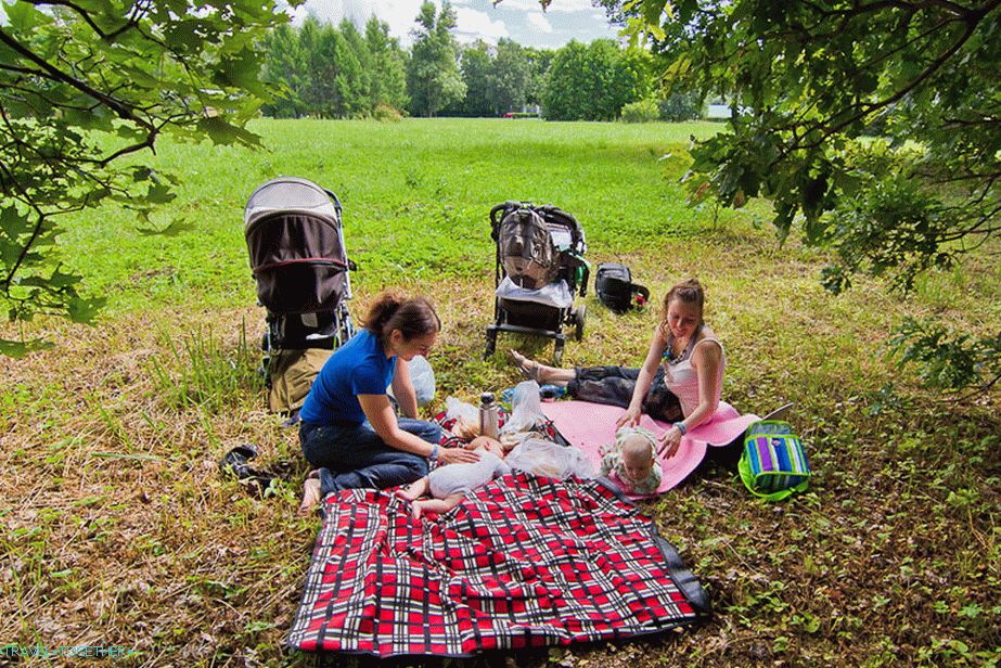 Our little picnic