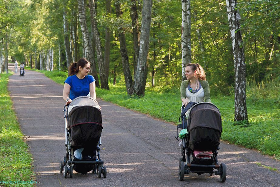 Walking around the Gorki Leninsky estate park