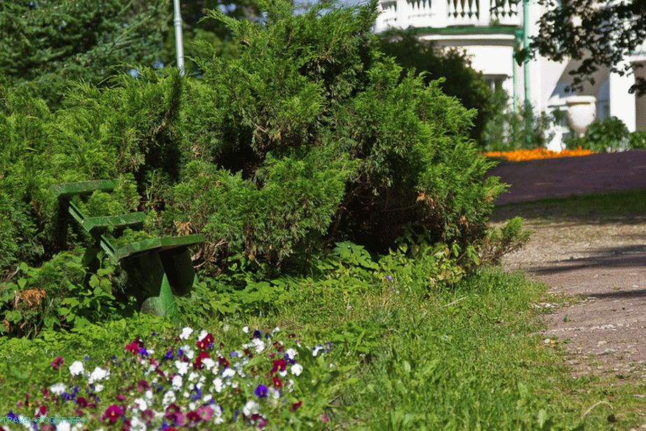 Elegant shop, on the one hand, Cossack juniper, on the other - flower bed