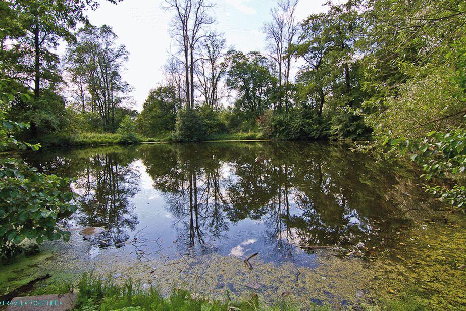 Small round pond