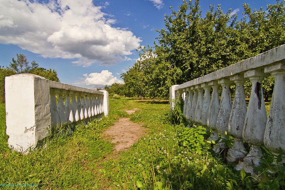 Path to the greenhouse