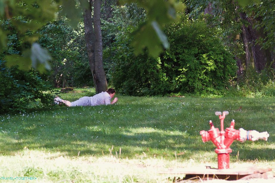 Separate resting body