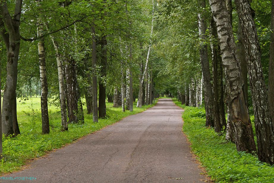 Such avenues permeate the estate