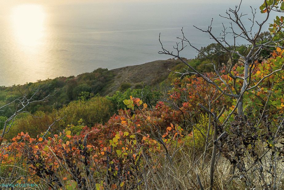 Autumn is a pleasant time - not hot and a variety of colors appears