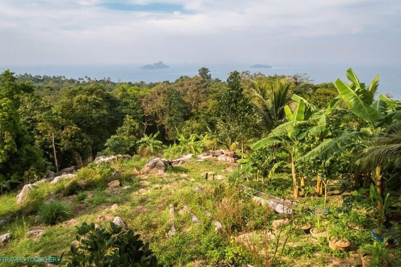 The best viewing platforms on Phi Phi Island - viewpoints 1, 2 and 3