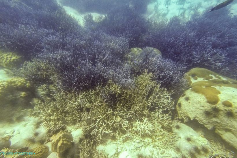 You'll see something like that