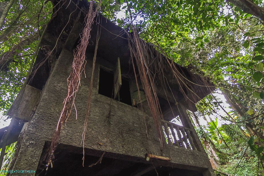 Creepers entangled all around, which gives a special mystery to the place