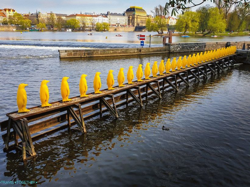 The march of the penguins through the Vltava - yellow penguins in Prague