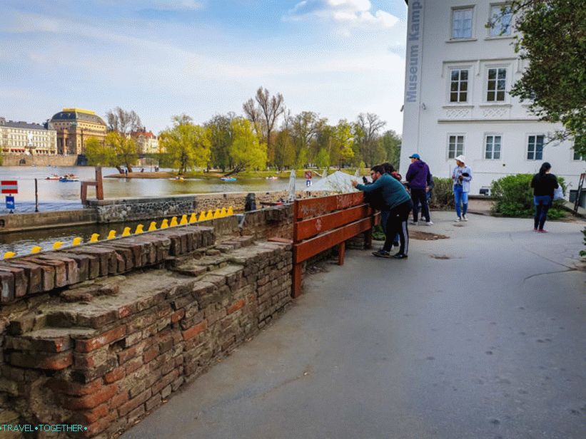 The march of the penguins through the Vltava - yellow penguins in Prague