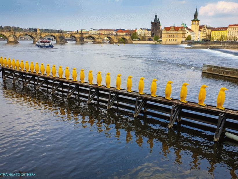 The march of the penguins through the Vltava - yellow penguins in Prague