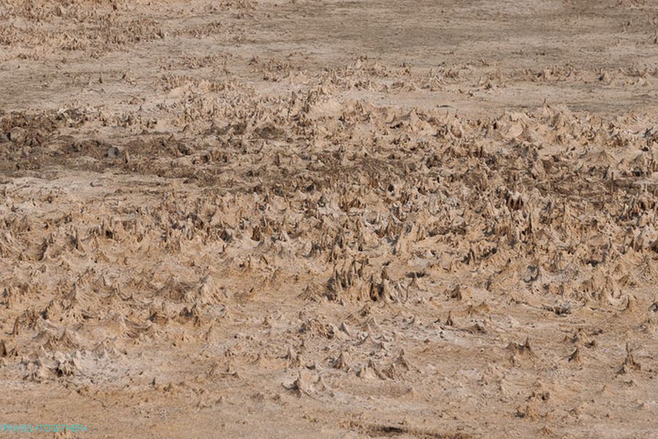 What is not a Martian surface?