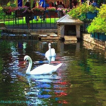 Mimosa - the city of love in Pattaya