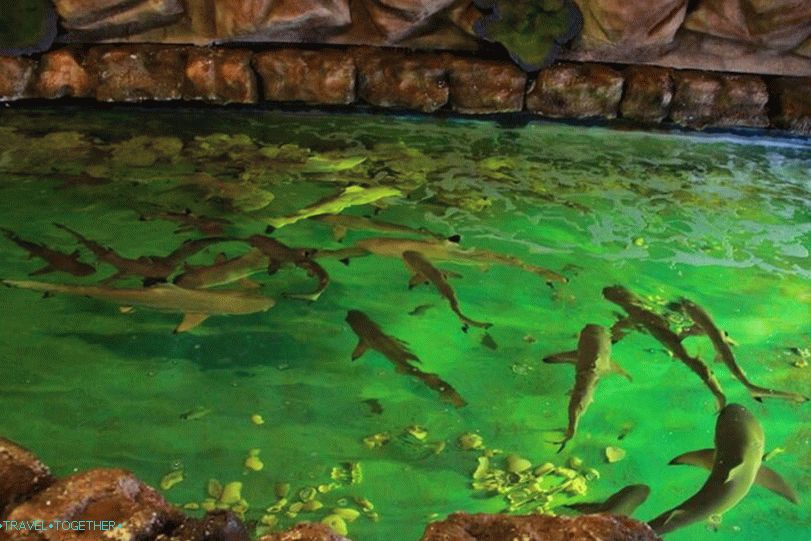 Mimosa - the city of love in Pattaya