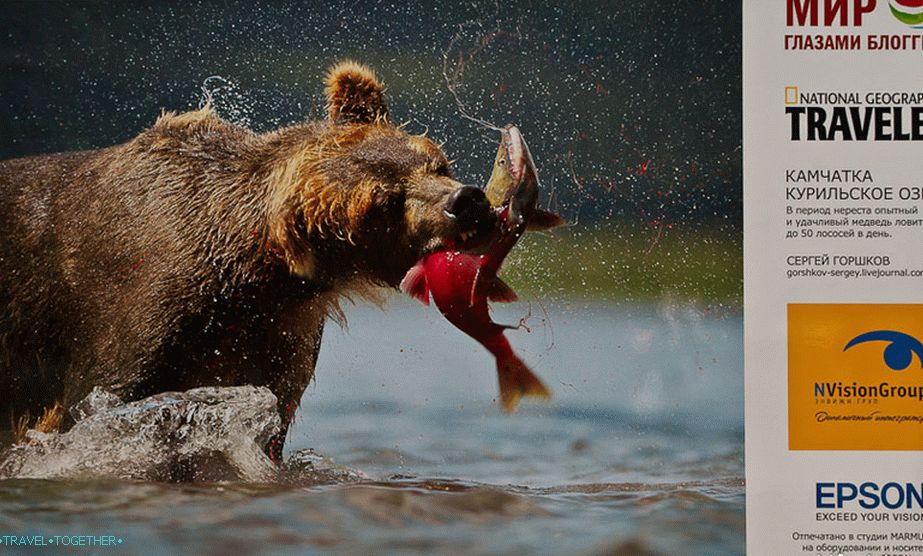 Very clearly removed, even splashes of blood from the fish are visible