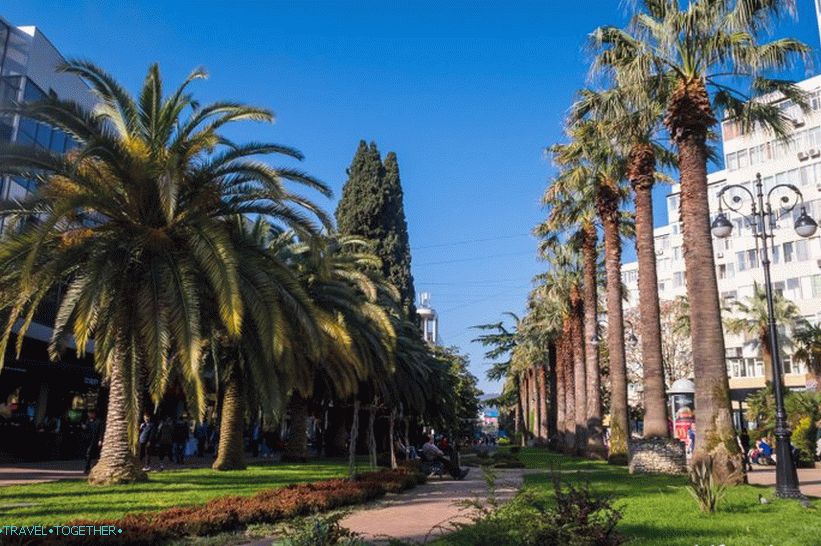 Navaginskaya street in Sochi