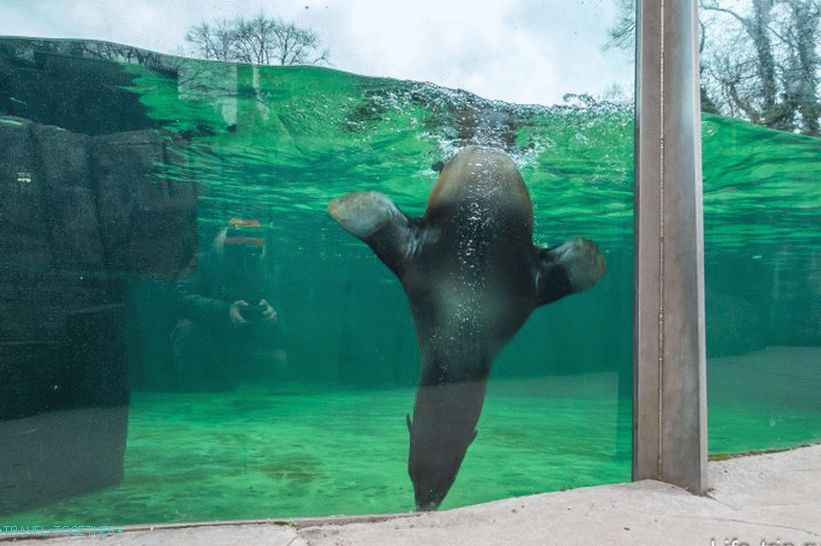 Prague Zoo