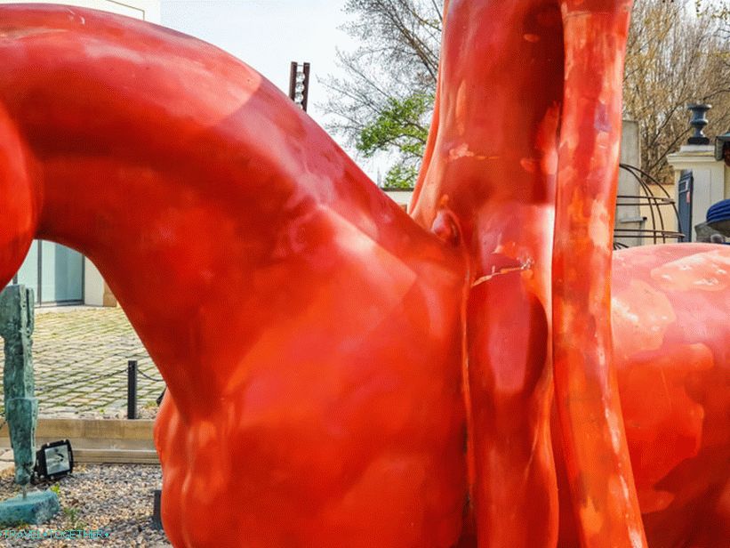 Kampa Museum in Prague - Careful, Contemporary Art