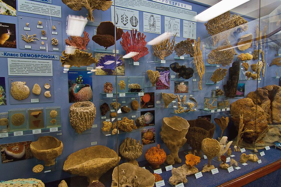 One of the most colorful stands in the museum