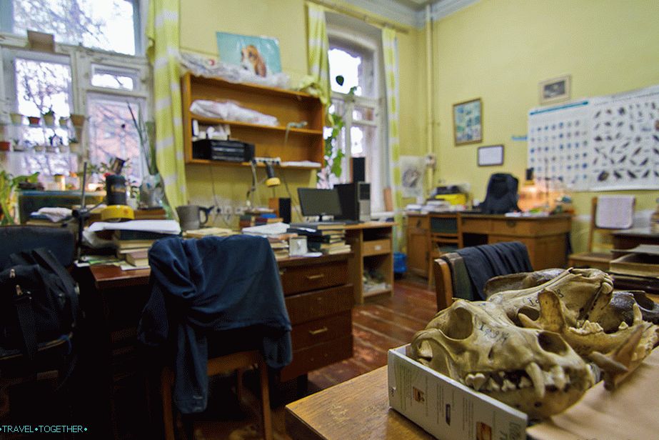 The Cabinet of Researchers