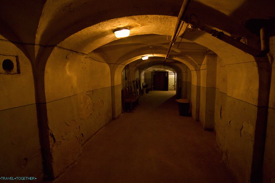 Taxidermy workshop is located in the basement