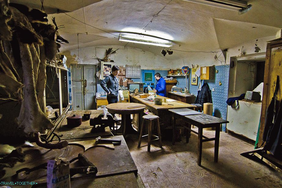 Taxidermy Workshop