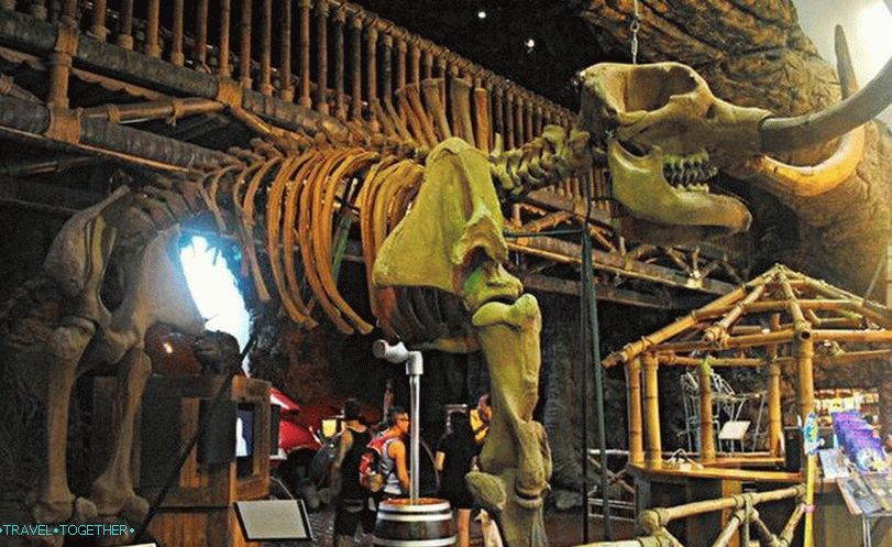 Ripley Museum in Pattaya - the skeleton of a mammoth