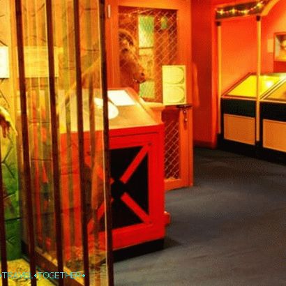 Ripley Museum in Pattaya - the room of fear