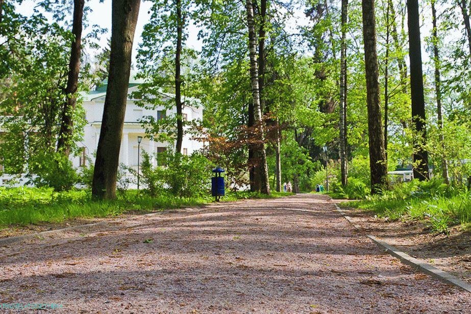 Ground and gravel paths