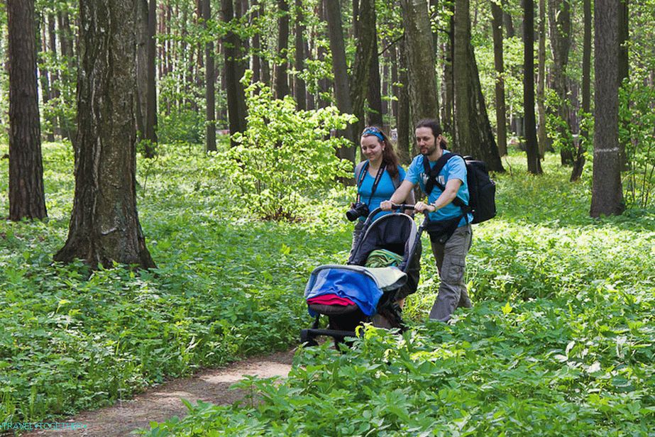 Walking around the park